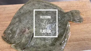 Fiskefiletering