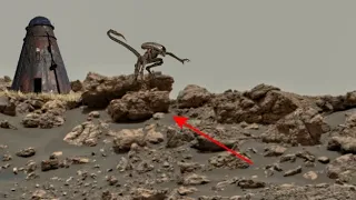 Mars Perseverance Sent New Mars 4k Video Footage || NASA Live Mars in 4k Sol 216 images