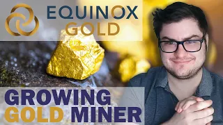 Gold Rush or Fools Gold? | Your Stock, Our Take - Equinox Gold (EQX:TSX)