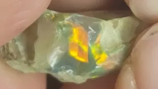 Watch this stunning rough 10ct dark opal come to life | Cut an opal with me