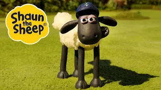 Wildlife Watch / The Pelican | 2 x Episodes | Shaun the Sheep S4