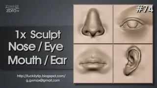 Zbrush Sculpting - 1x Sculpting Nose, Mouth, Eye, Ear