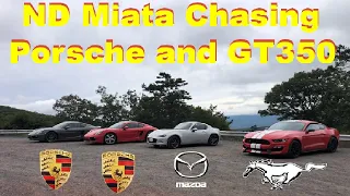 ND Miata vs Porsche Cayman S vs Shelby GT350