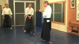 Moonsensei:  Aikido Re-membering the Totality