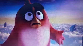 The Angry Birds Movie - Mighty Eagle says: No in 5 Languages