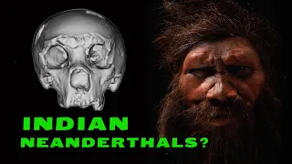 Is This Skull a Missing Link in the Human Family Tree?