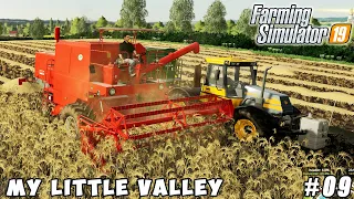 Liming, planting sunflower & beets, harvesting barley | My Little Valley | FS 19 | Timelapse #09