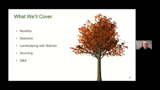 Beautiful and Beneficial Native Trees and Shrubs