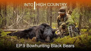 Bowhunting Black Bears