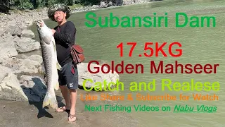 Golden Mahseer Catch & Release #fishingvideo #viral Golden MahseerISubansri Dam #arunachal #fishing