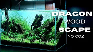 AQUASCAPING TUTORIAL USING DRAGON WOOD | NO CO2 AQUASCAPE