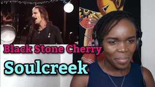 Black Stone Cherry - Soulcreek [OFFICIAL VIDEO] - REACTION