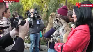 Журналисты В Тайгане