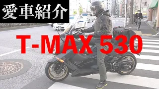 【愛車紹介】営業車兼ロケ車！T-MAX 530レビュー！
