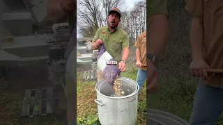 🥜LOUISIANA BOILED PEANUT EXPERIMENT #cajun #recipe