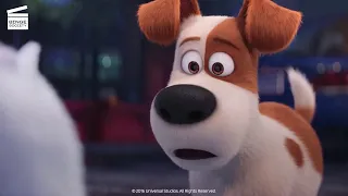 The Secret Life of Pets: Everyone goes home, finally! (HD CLIP)