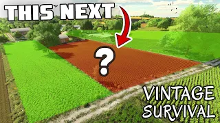 THIS HAS TO BE NEXT?? | Vintage Survival - Episode 21