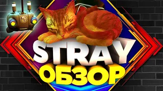 Душевный обзор Stray - Игра года и не только про кота!