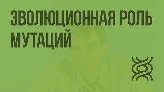 Эволюционная роль мутаций. Видеоурок по биологии 11 класс