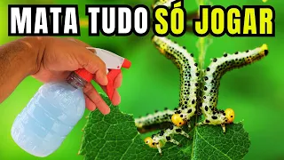 Mata Lagartas, Pulgão, Moscas, Cochonilha e Formigas - Inseticida Caseiro para plantas