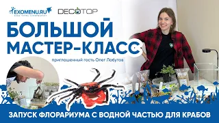 Оформление красивого акватеррариума для красных дьяволов - Geosesarma  🦀