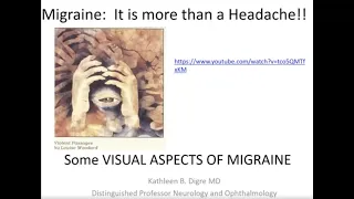 Visual Aspects of Migraine