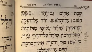 Tehillim psalm 133