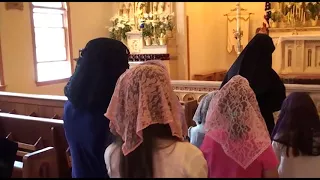 Handmade Chapel Veils - Daughters of Mary, Mother of Our Savior