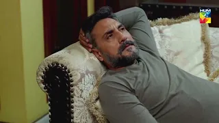 Mir Farooq Zaman Kis Ke Samne Haar Jata !! Ye Dil Mera - HUM TV
