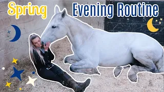 My 6 Horses' Evening Routine | Spring 2020 | Lock Down Day 15 | Lilpetchannel