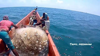 Amazing  Fishing Catching Skill, Gill Net Fishing on The Sea