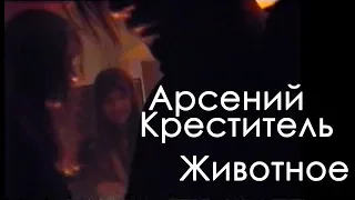 Арсений Креститель - Животное [OFFICIALLY notOFFICIAL VERSION]