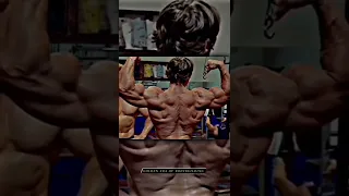 Arabian mix| Arnold | bodybuilder| Mr Olympia