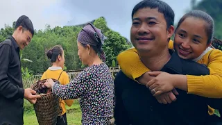 Harvesting and preserving wood ear mushrooms. love of Phan Phan family