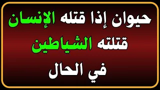 اسئلة دينية صعبة جدا واجوبتها | أين يذهب القرين بعد موت الإنسان⁉️