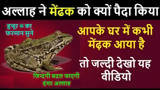 अगर आपके घर में कभी मेंढक ( Frog ) आता है तो जरूर देखो // जिन्दगी बदल जाएगी , इंशा अल्लाह