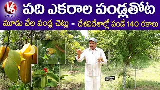 Natural Farming By Haribabu | Growing 140 Types Of Fruits | V6 Life