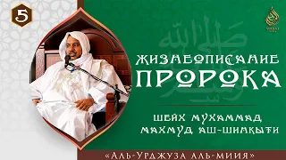 Жизнеописание Пророка (ﷺ) 5/17 | «аль-Урджуза аль-миия» | Шейх Мухаммад Махмуд аш-Шинкыти ᴴᴰ