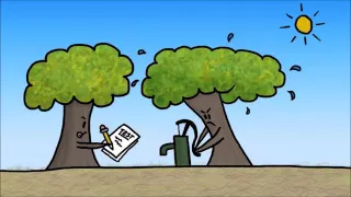 klik - informational -  How do Trees Survive Winter