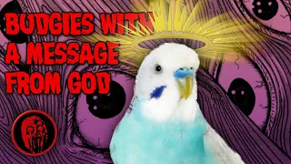 The Budgies That Started Their Own Religion