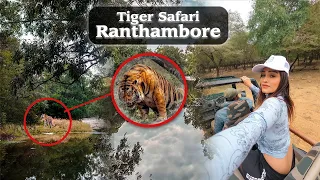 How to plan tiger safari | Ranthambore | National park