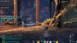 blade and soul продолжаем качать мастера призыва