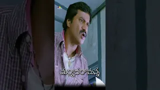 Sunil Comedy Scene | #MaryadaRamanna | #Shorts | #YouTubeShorts