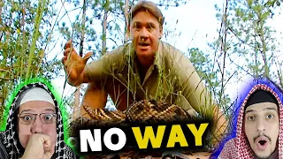 Arab Muslim Brothers React To Fearless Steve Irwin Saves a Wounded Bear from Certain Death