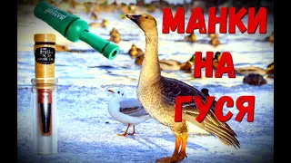 МАНОК НА ГУСЯ. Goose decoy