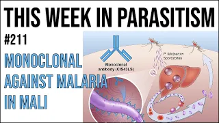 TWiP 211: Monoclonal against malaria in Mali