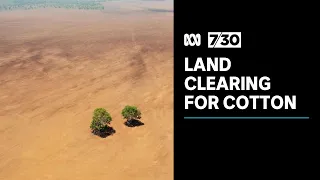 Images suggest land being cleared for cotton farming before permits granted | 7.30