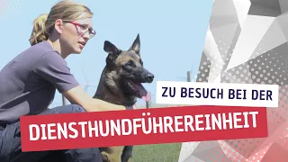 Zu Besuch bei der Diensthundführereinheit (DHFE) der Polizei Sachsen-Anhalt