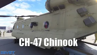 US Army CH-47 Chinook Quick Walkaround