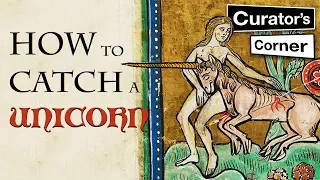 How to catch a unicorn | Curator's Corner S2 Ep 7 #CuratorsCorner